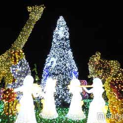 メロディーツリー昨年の様子/画像提供:東武動物公園