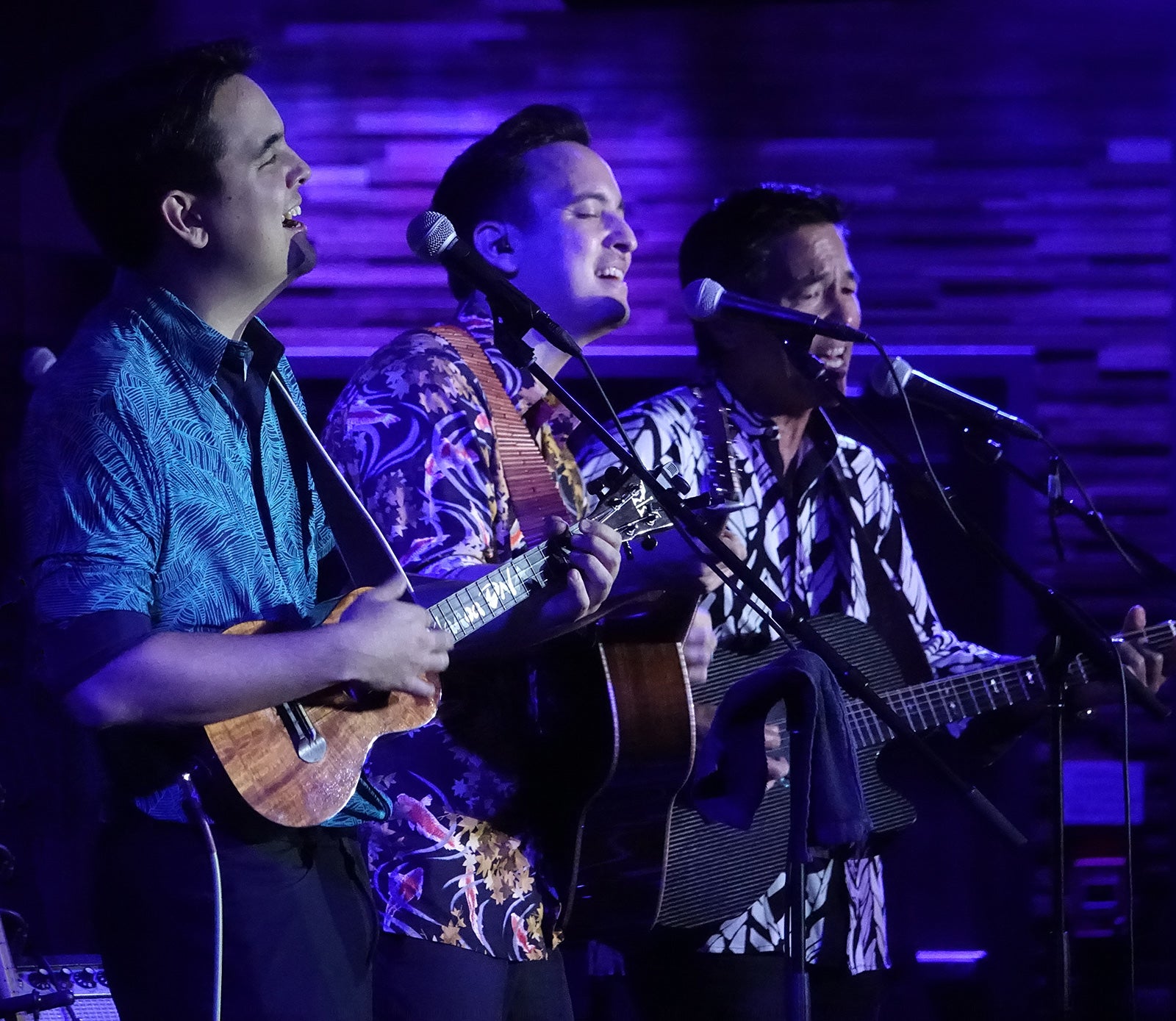 ManoaDNA／画像提供：株式会社ペッププランニング