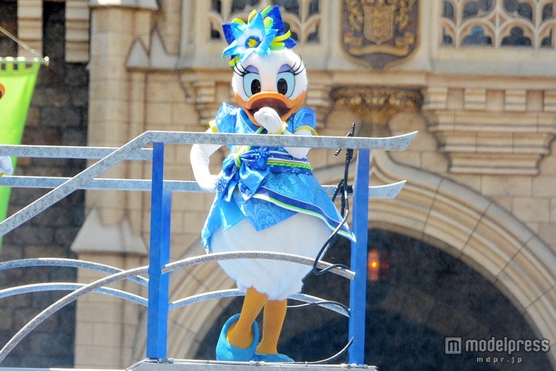 デイジー／雅涼群舞