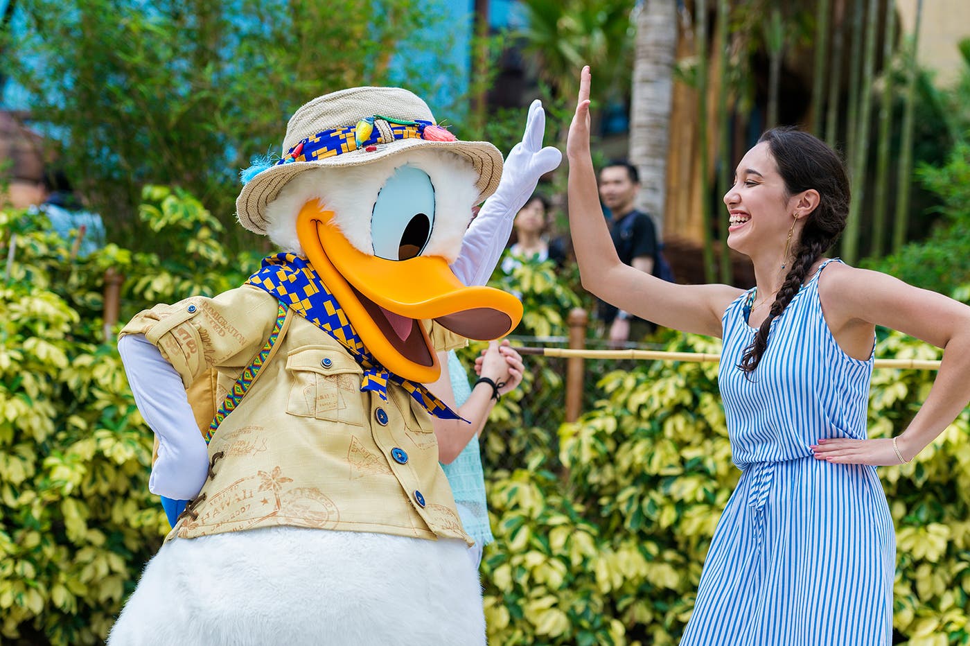 ドナルドダッグ(C)Disney