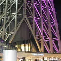 夜間も楽しめるアイススケートリンク