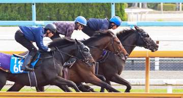 【天皇賞】クロワデュノール 堂々最先着 斉藤崇師「これで上がってくる」 父子制覇の懸かる大一番へ上々