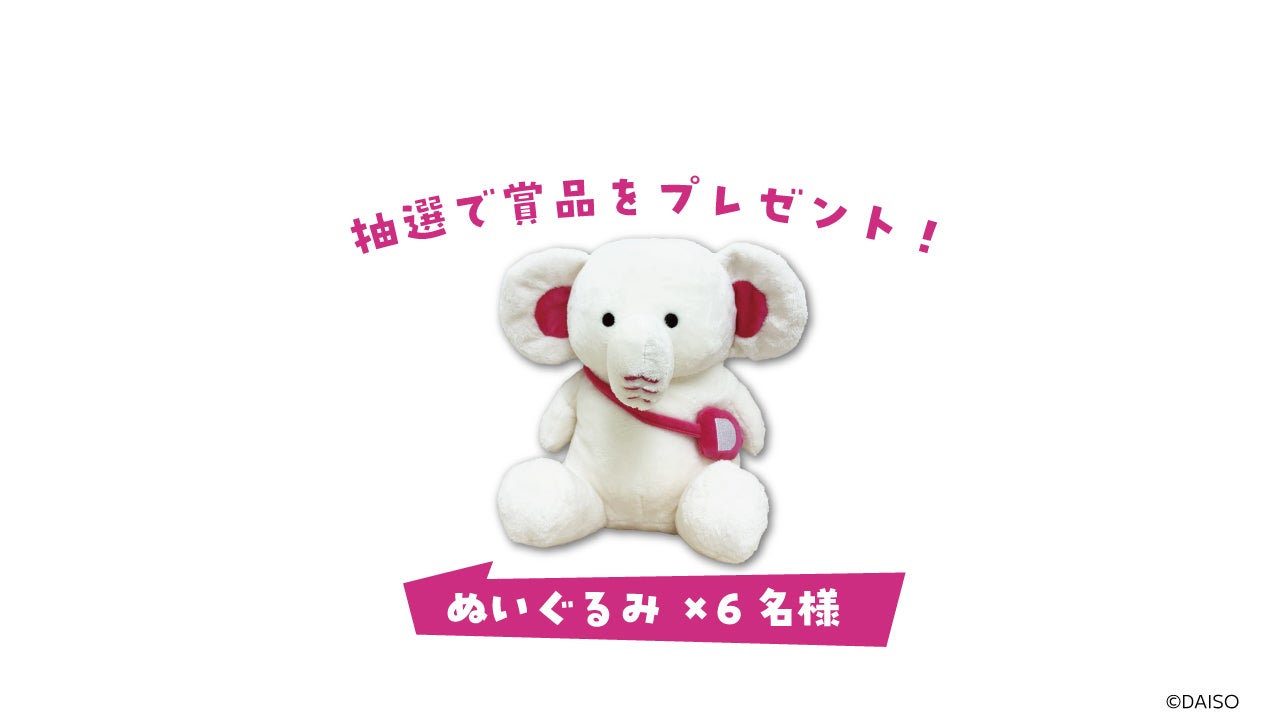 （C）DAISO