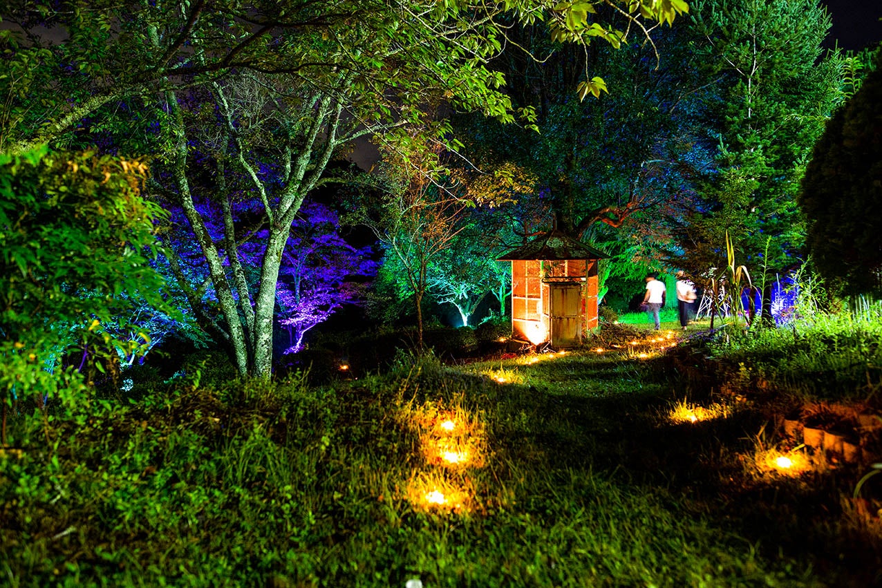 地球とヒトが“恋する”映画祭／画像提供：La Himawari