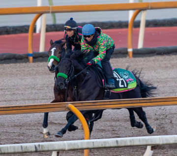 【日経新春杯】ゲルチュタール 重賞初制覇へ計算通り 菊花賞4着の1週間前＆当週とほぼ同タイム 杉山晴師「いい感じ」