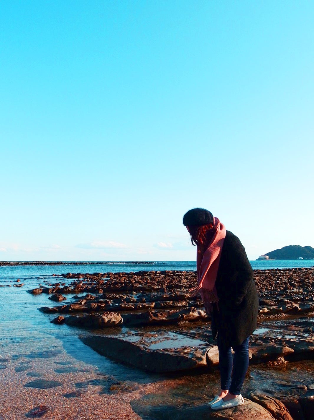 青島（提供写真）