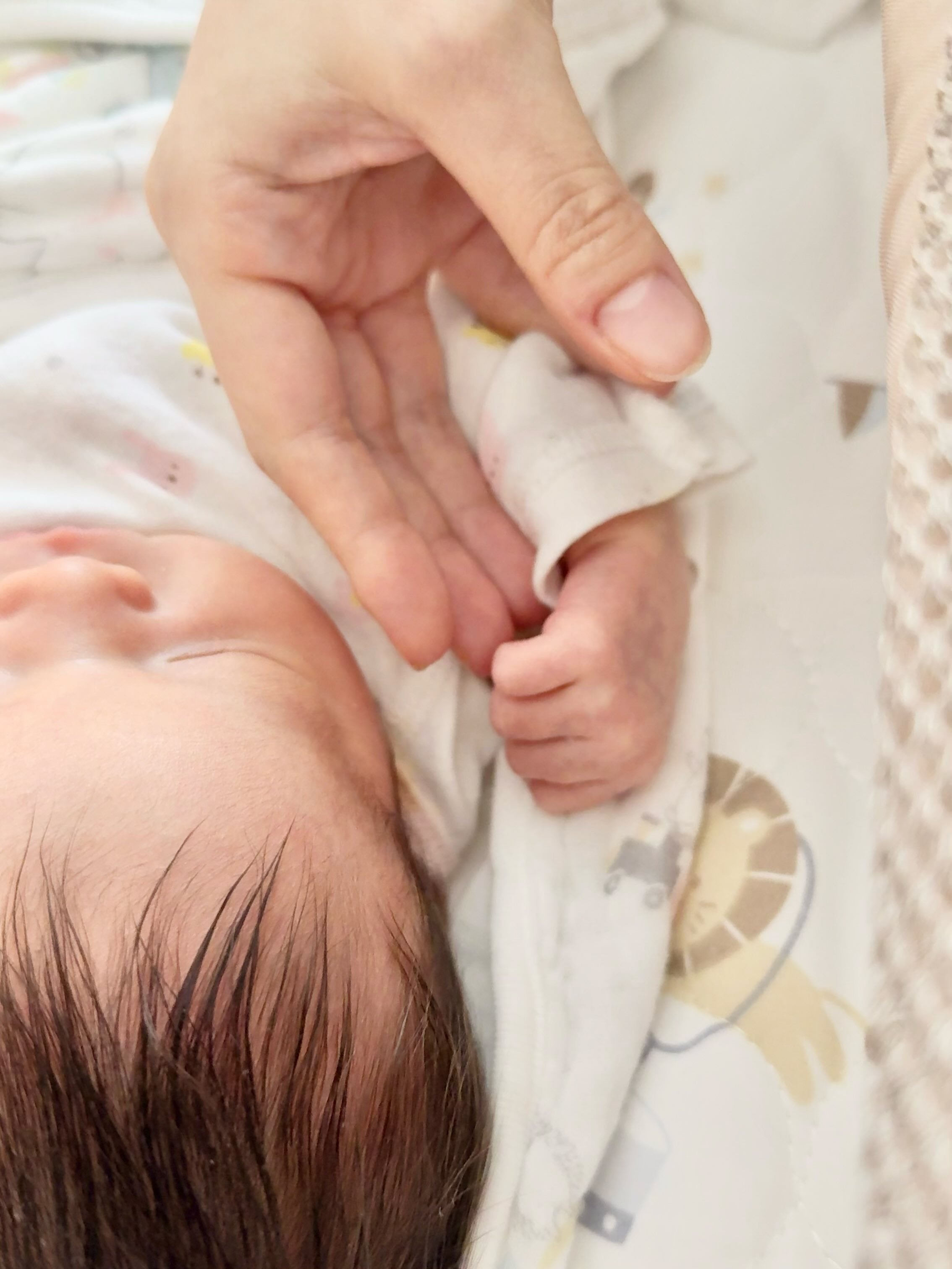 上村彩子公式Xより