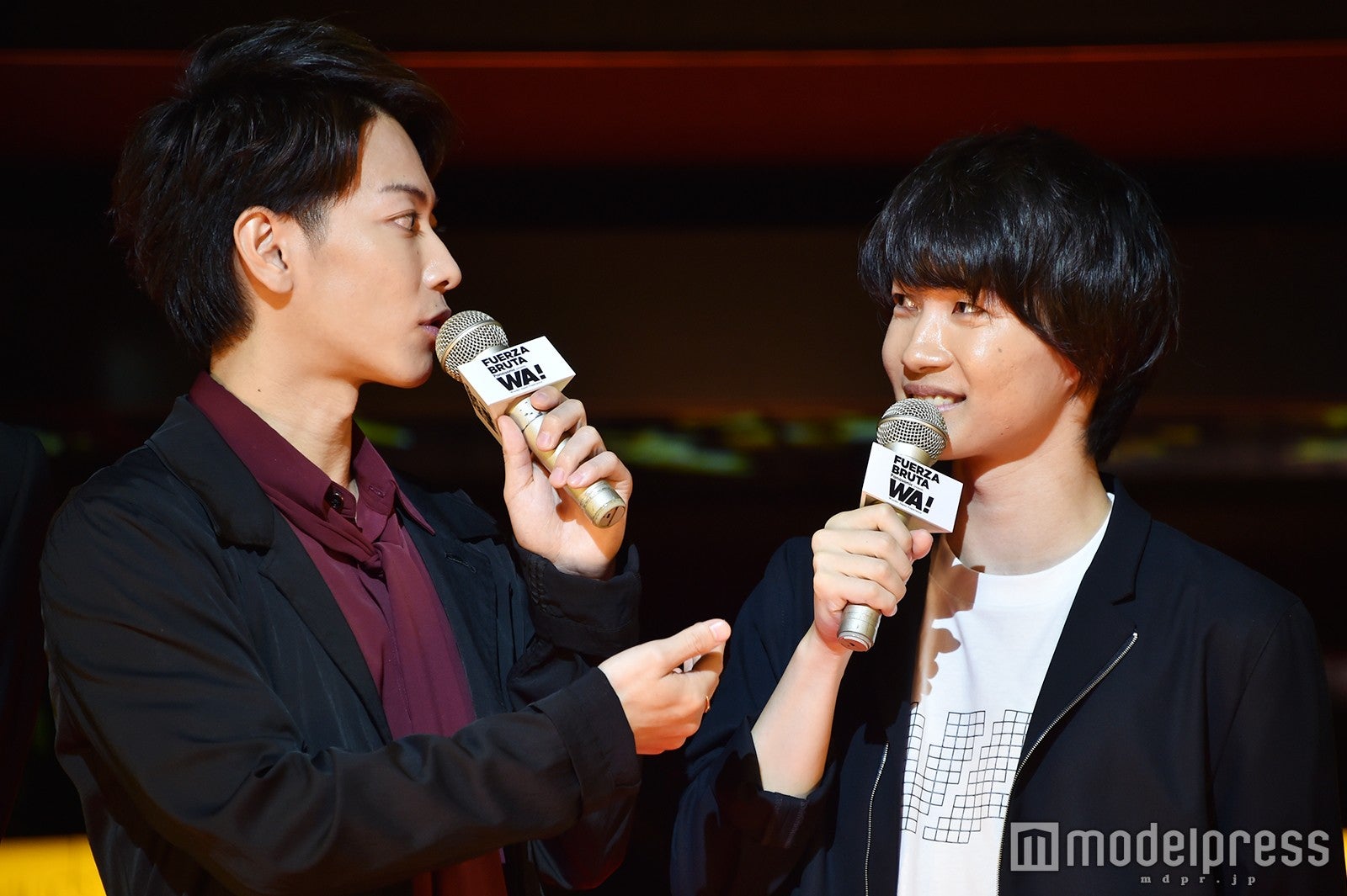 左から：佐藤健、神木隆之介 （C）モデルプレス