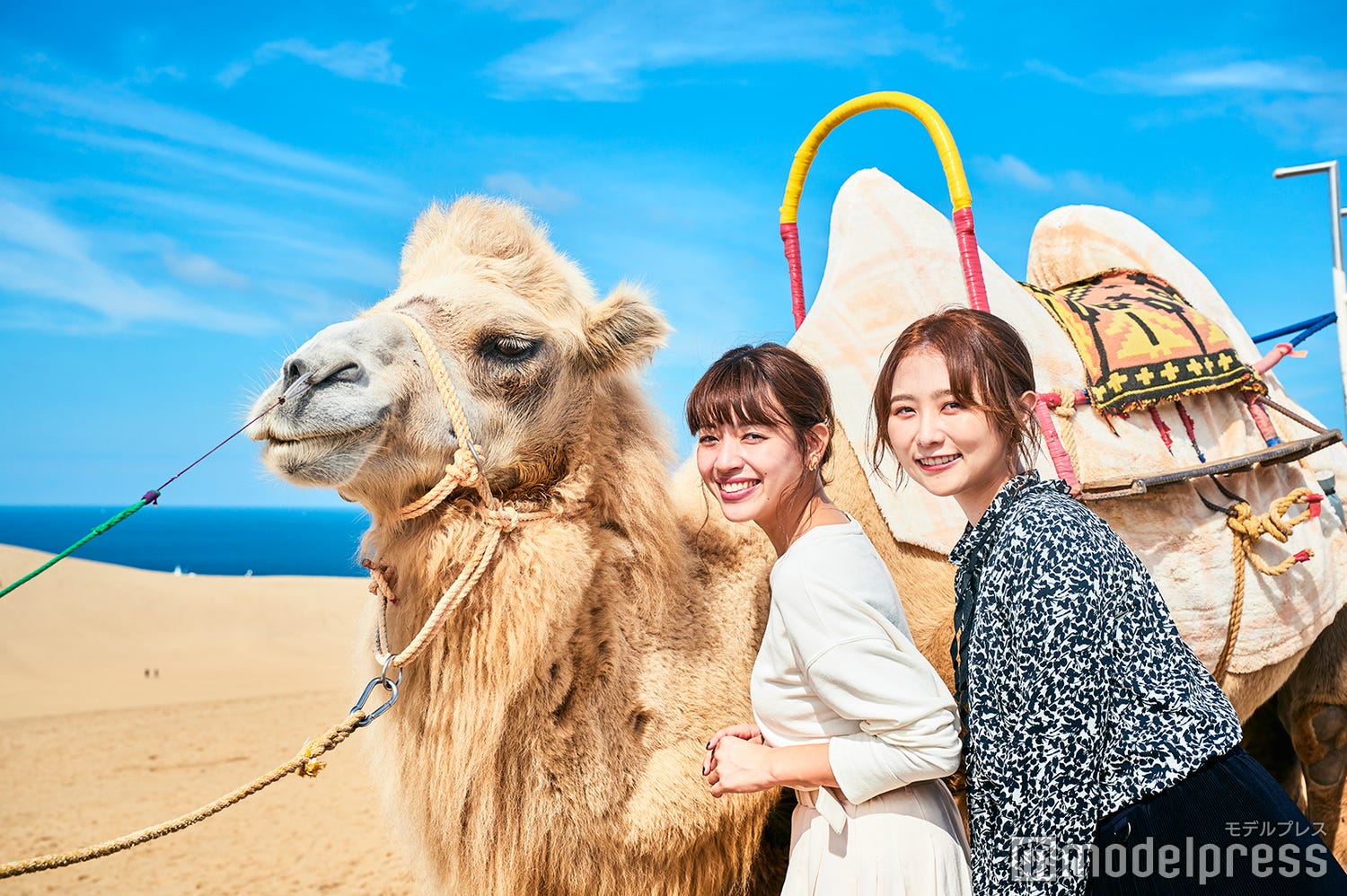 鳥取女子旅スポット7選 砂丘でラクダ体験、パワスポで縁結び祈願、噂のピンクカレーまで!