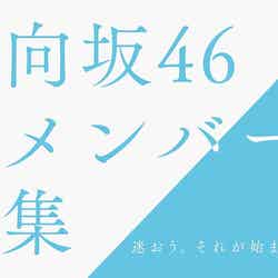「日向坂46 新メンバーオーディション」（提供写真）
