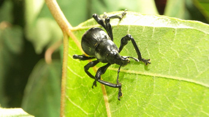 「超・進化論 キッズ&ティーンズ特別編」(C)NHK