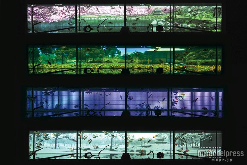 錦鯉の泳ぐ水槽にプロジェクションマッピングで四季を投影した「水中四季絵巻」