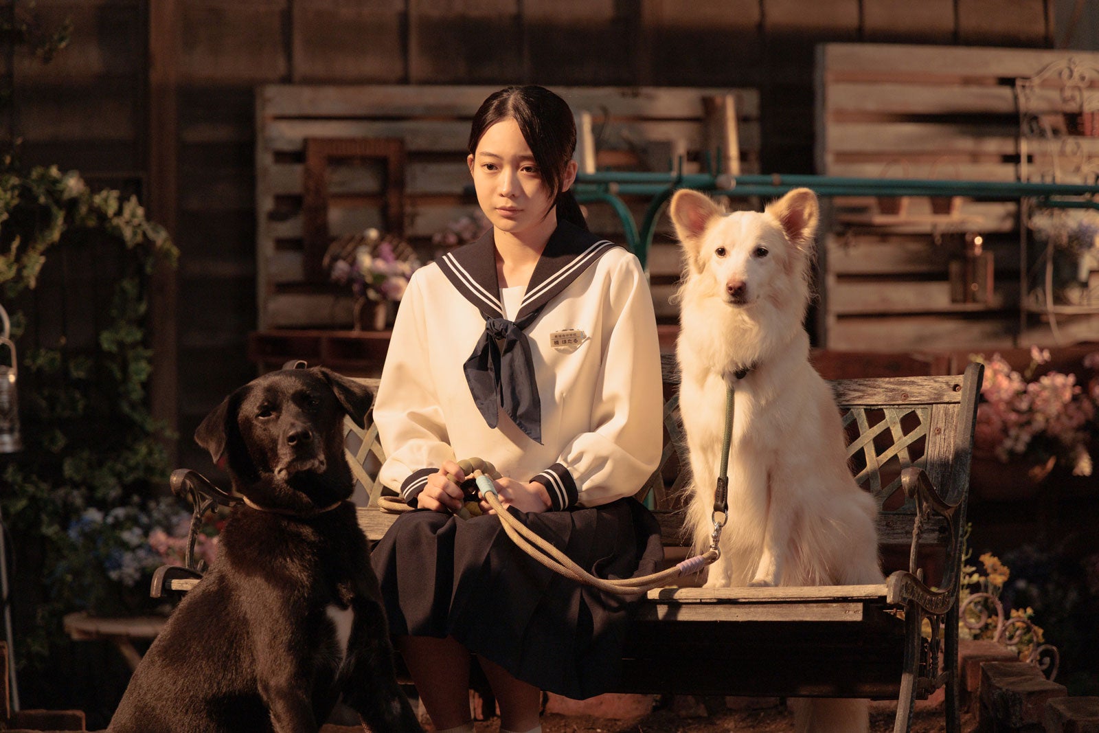 白鳥玉季（C）日本テレビ