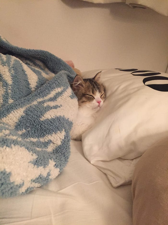 ぽんず/画像提供:所属事務所