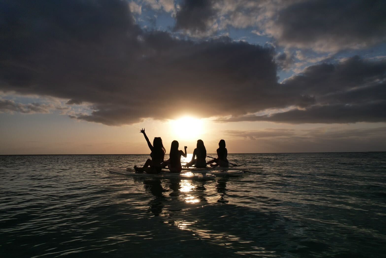 もも（提供写真）