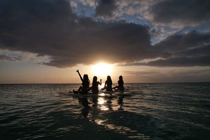 もも(提供写真)