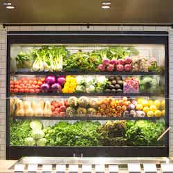 CITYSHOP/画像提供:CITYSHOP