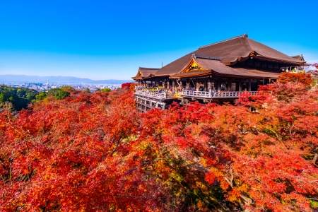 「京都府」