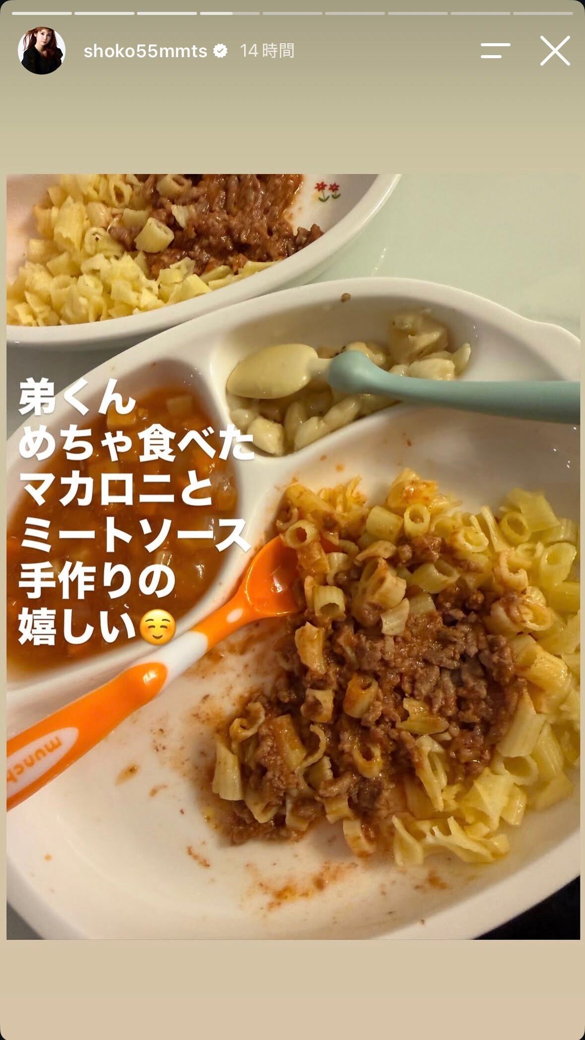 中川翔子Instagramストーリーズより