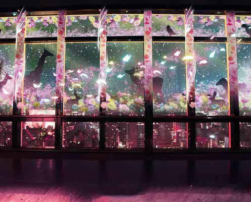 東京タワー、東京夜景が桜色に包まれる春限定マッピングショー