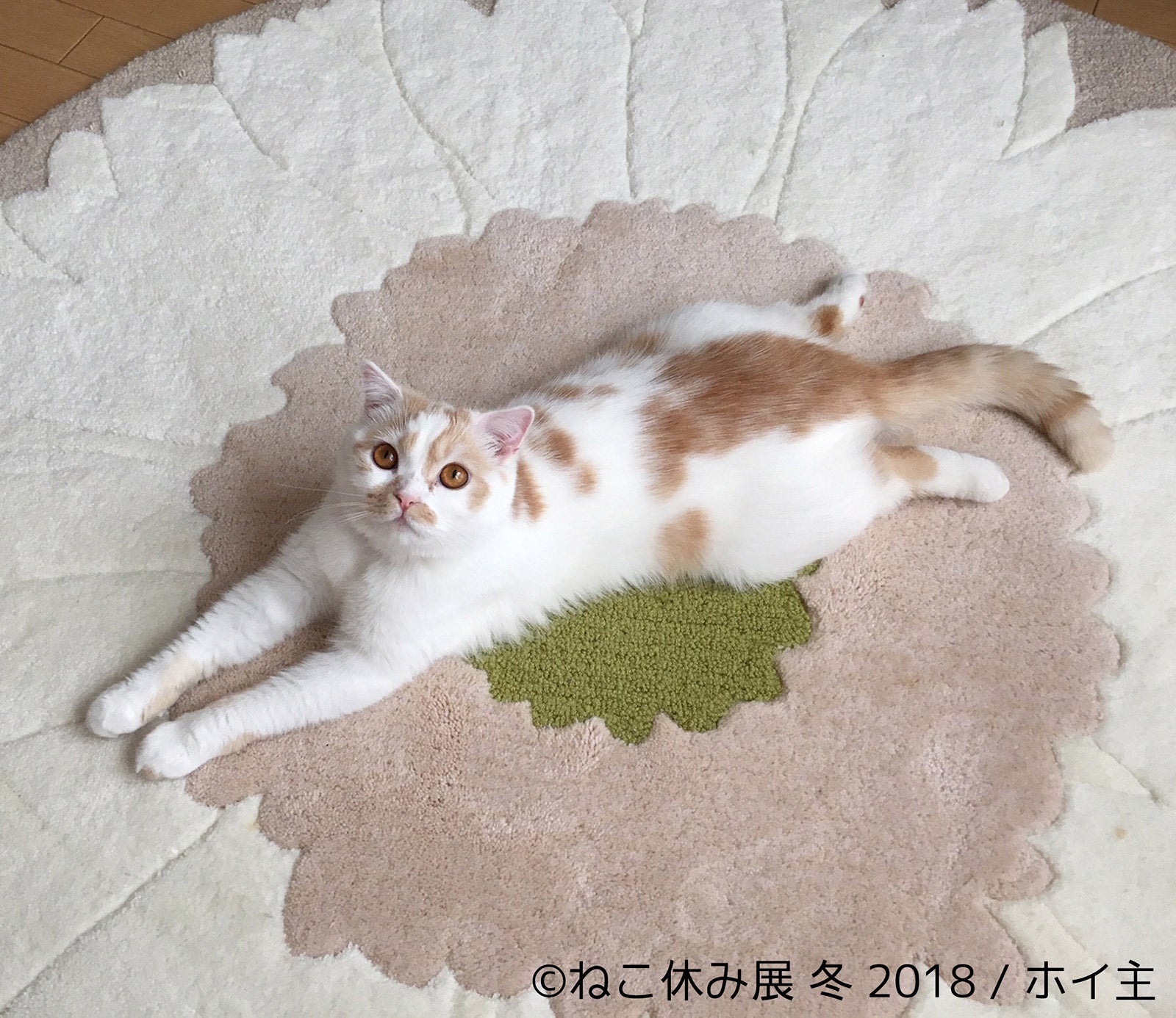 展示作品／画像提供：株式会社BACON