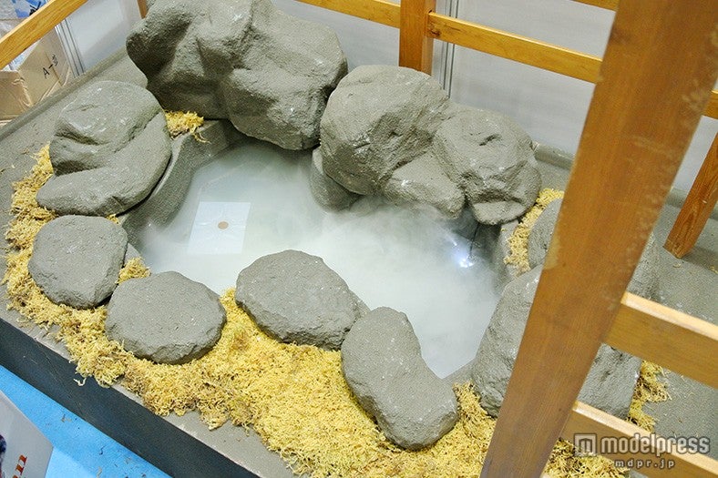 「八重垣神社」の“鏡の池ご縁占い”を体験