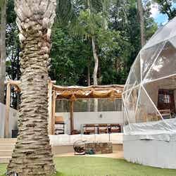 ザ・グランテラス/提供画像