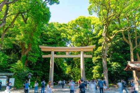「明治神宮」