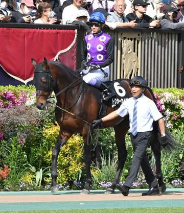 国枝元調教師が厩務員初陣 トクシーカイザーで5着 武豊もニヤリ「将来有望だと思います」
