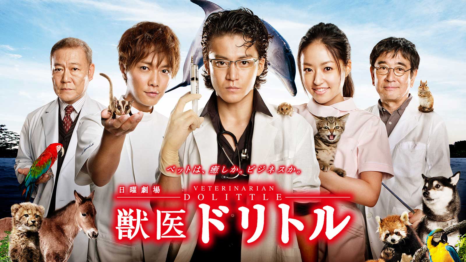 「獣医ドリトル」 （C）TBS
