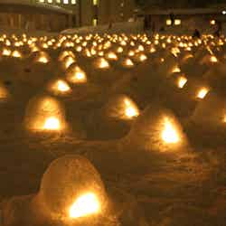 横手の雪まつり(提供写真)