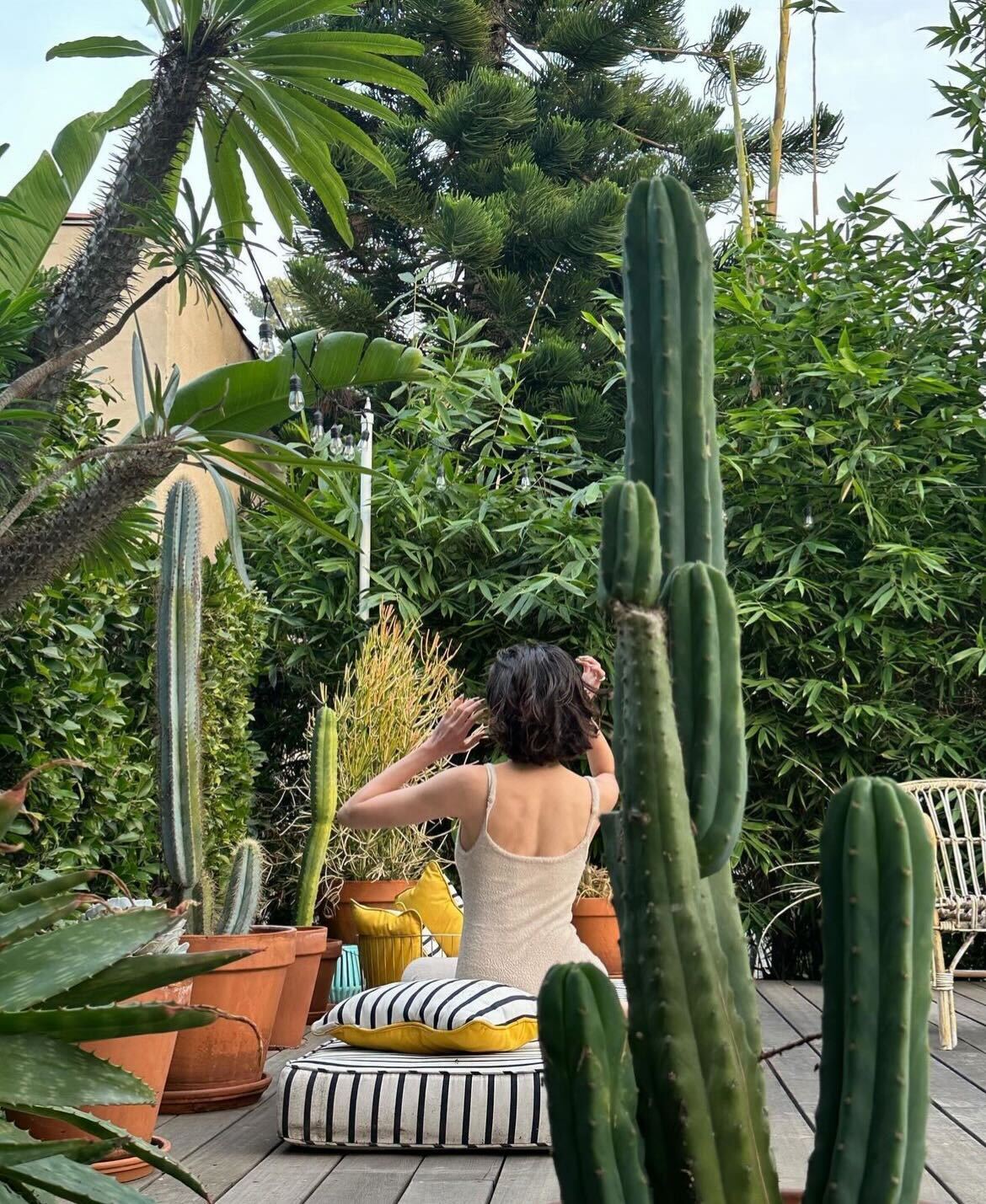 森星Instagramより