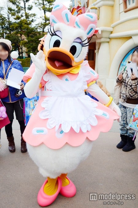 デイジー（TDL）