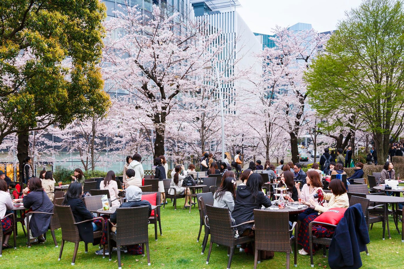 MARTINI Blossom Lounge／画像提供：東京ミッドタウンマネジメント