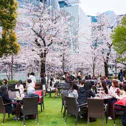 MARTINI Blossom Lounge/画像提供:東京ミッドタウンマネジメント