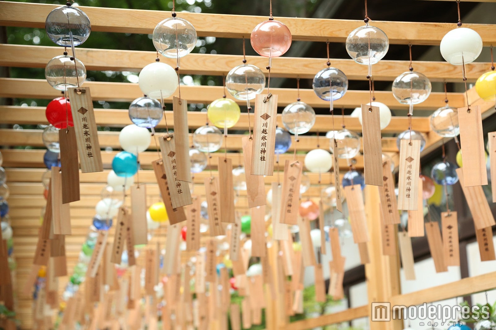 無数の風鈴が涼し気な音色を奏でる／画像提供：川越氷川神社