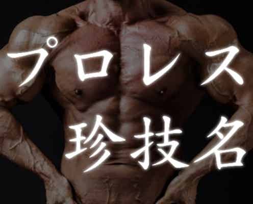 オムツかぶせ 面白すぎる プロレス技名 ランキング モデルプレス オムツかぶせ 面白すぎる プロレス技名 ランキング モデルプレス