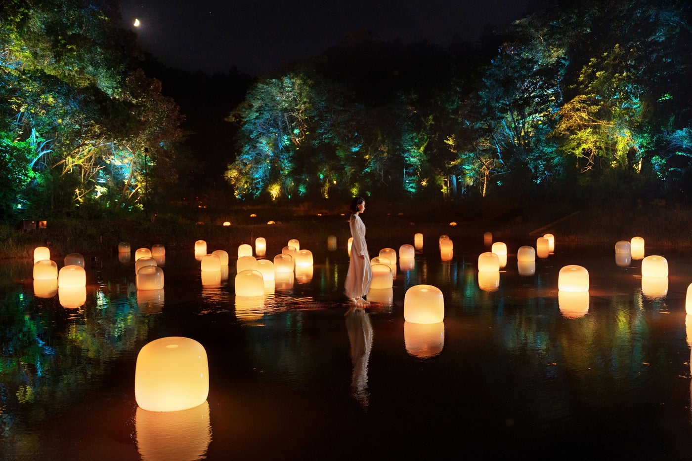 隠田跡の水の中の道。チームラボ《隠田跡の水鏡の道》、《隠田跡》、《幽谷の呼応する森》（C）チームラボ