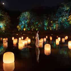 隠田跡の水の中の道。チームラボ《隠田跡の水鏡の道》、《隠田跡》、《幽谷の呼応する森》(C)チームラボ