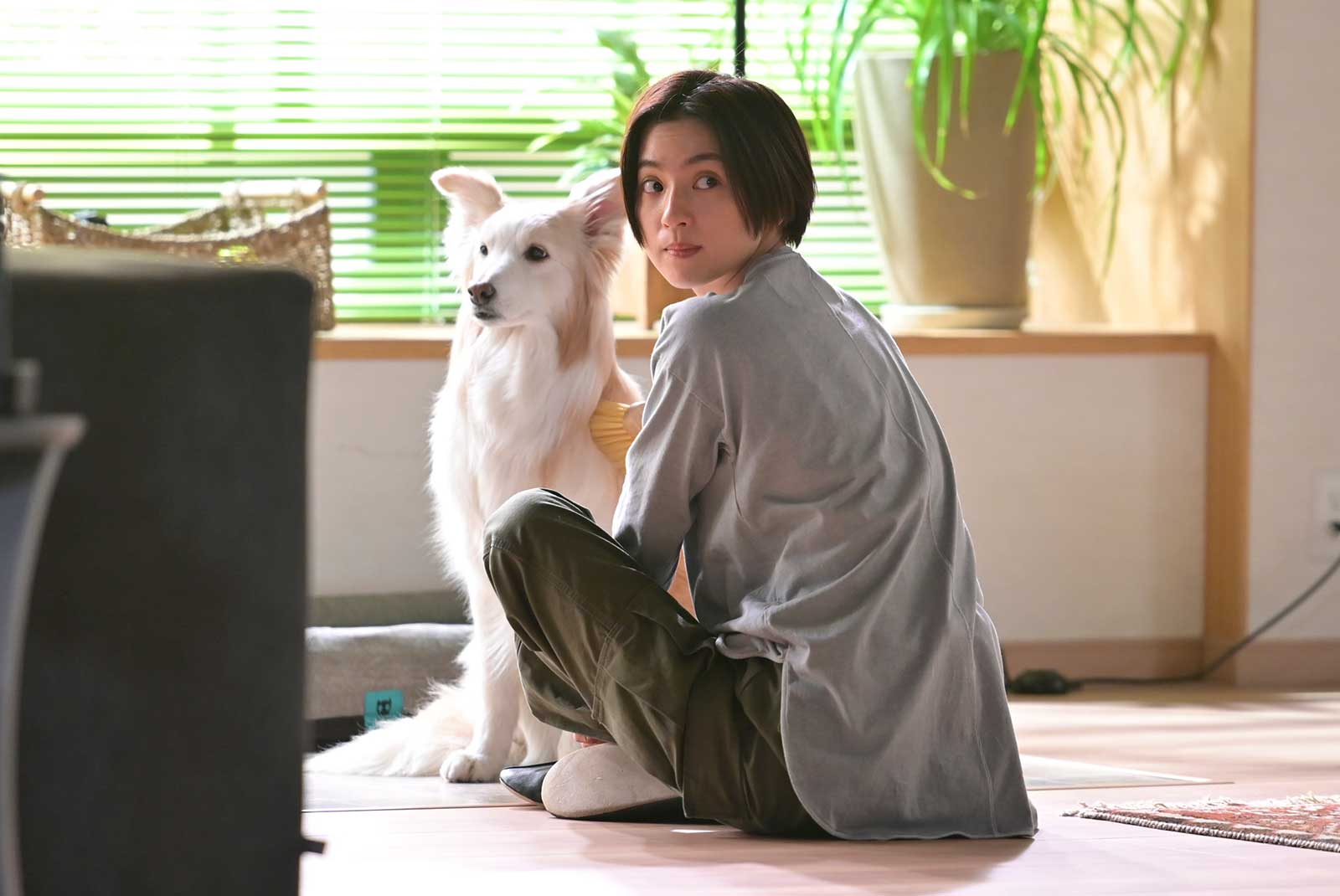 中村アン 「着飾る恋には理由があって」より（C）TBS