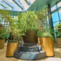 LUFTBAUM/提供画像