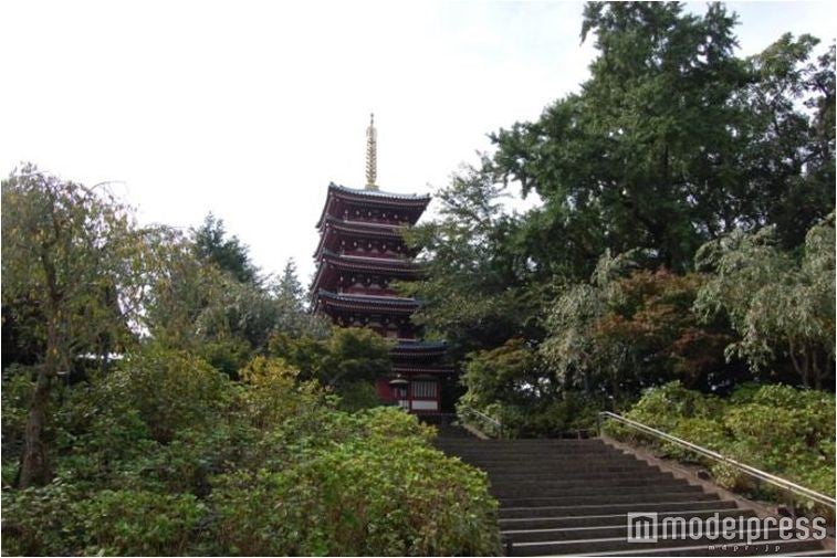 本土寺／画像提供：松戸市役所