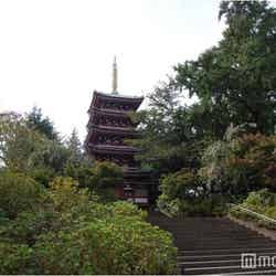 本土寺/画像提供:松戸市役所