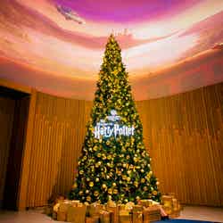 クリスマス・ライトアップ/提供画像