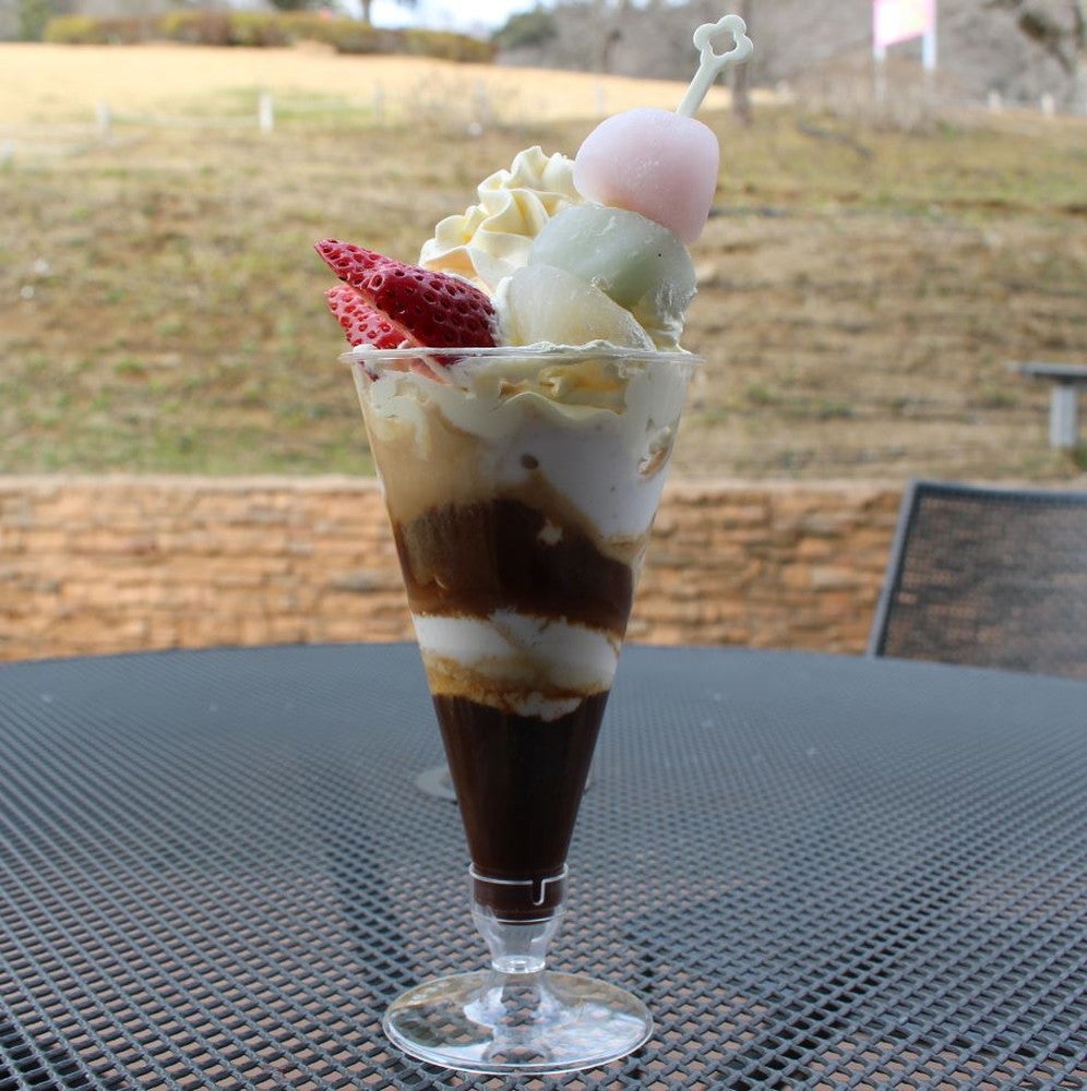 さがみ湖桜まつり／画像提供：富士急行