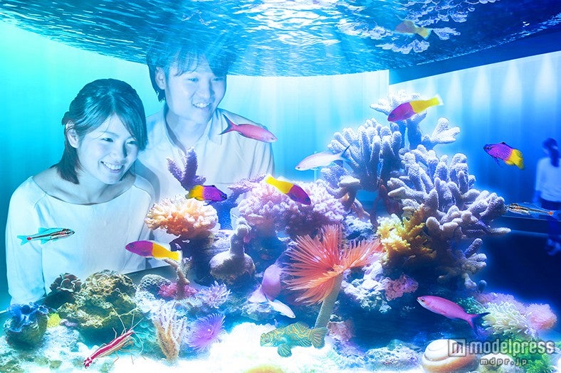 大阪の新感覚ミュージアム「ニフレル」詳細が発表