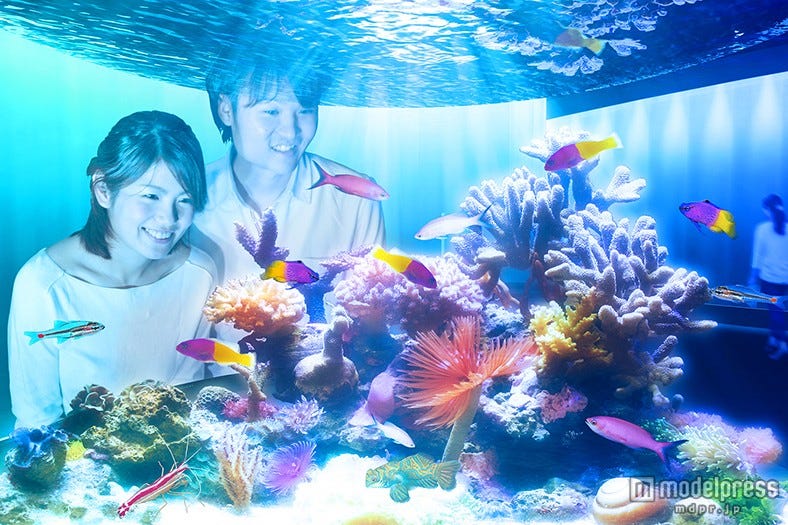 大阪の新感覚ミュージアム「ニフレル」詳細が発表