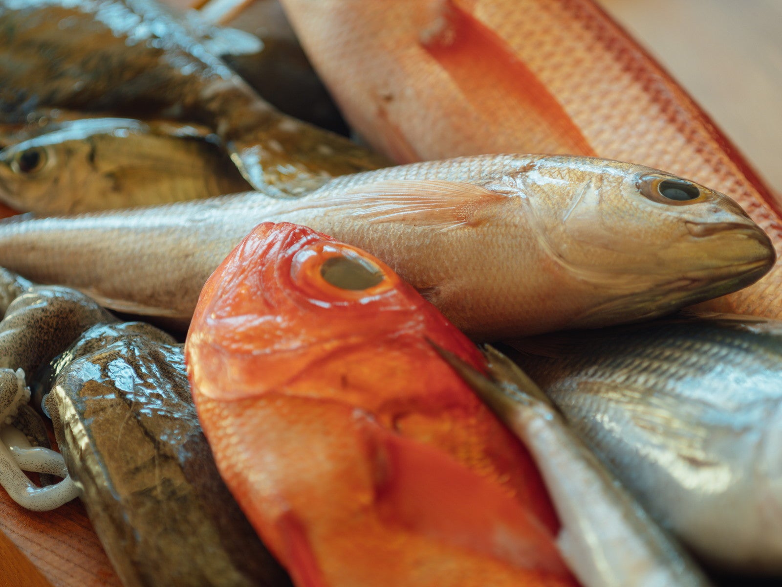 ベッカ イズ／提供画像