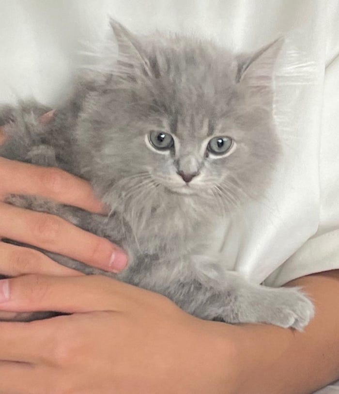 高橋克典オフィシャルブログより