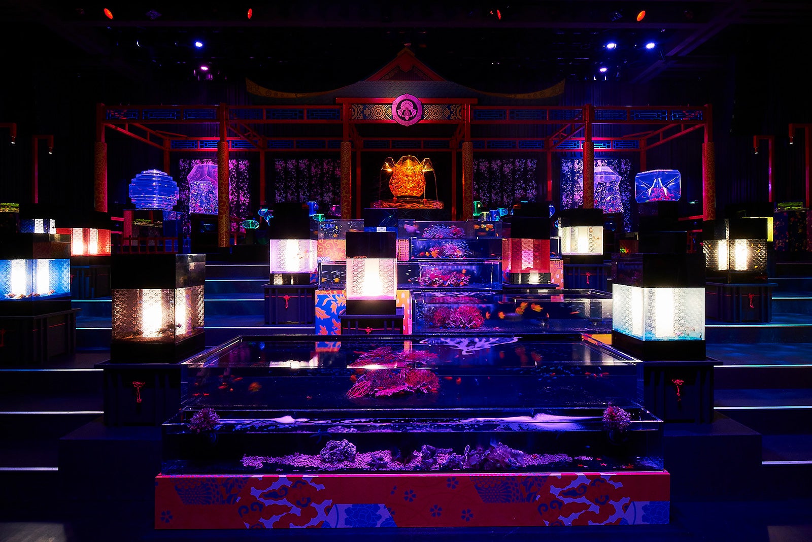 ECO EDO 日本橋 アートアクアリウム 2017～江戸・金魚の涼～＆ナイトアクアリウム／画像提供：アートアクアリウム